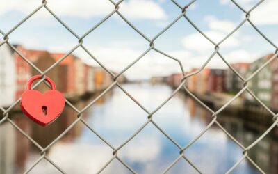 The Heart of a Shepherd: Leading with Compassion and Integrity