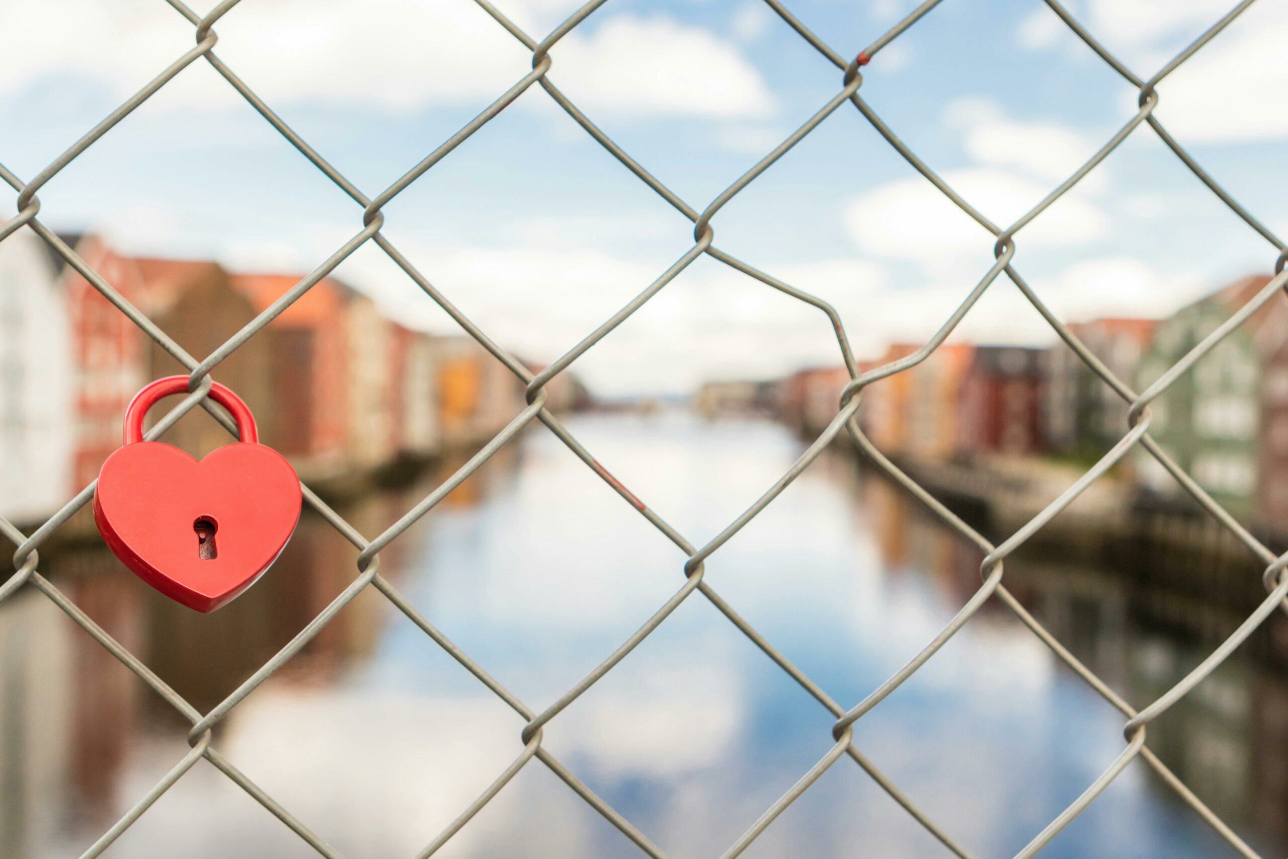 The Heart of a Shepherd: Leading with Compassion and Integrity