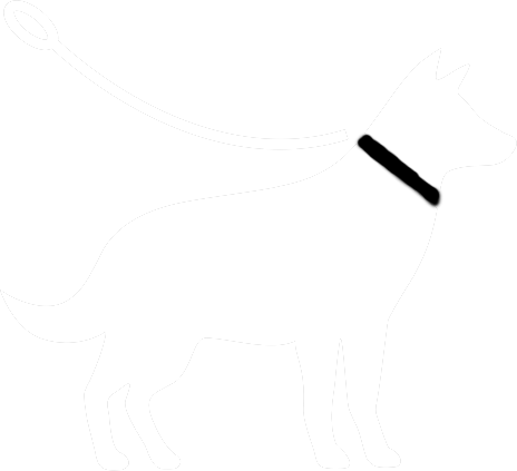 shepherd-dog